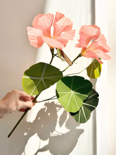 Nasturtium Stem